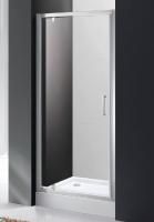 Душевая дверь Cezares MOLVENO-BA-1-90-C-Cr-IV