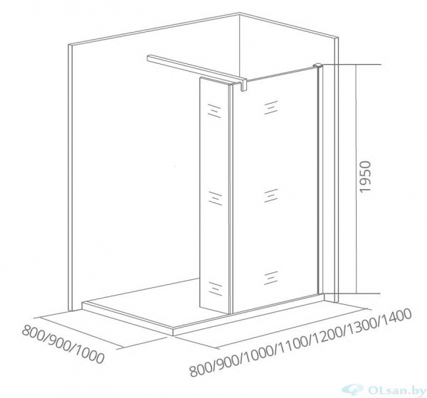 Душевая стенка Bas WALK IN SP2-100-C-CH