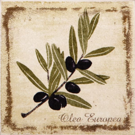 Декор Kerama Marazzi Прованс 9,9х9,9 A1912\1221T